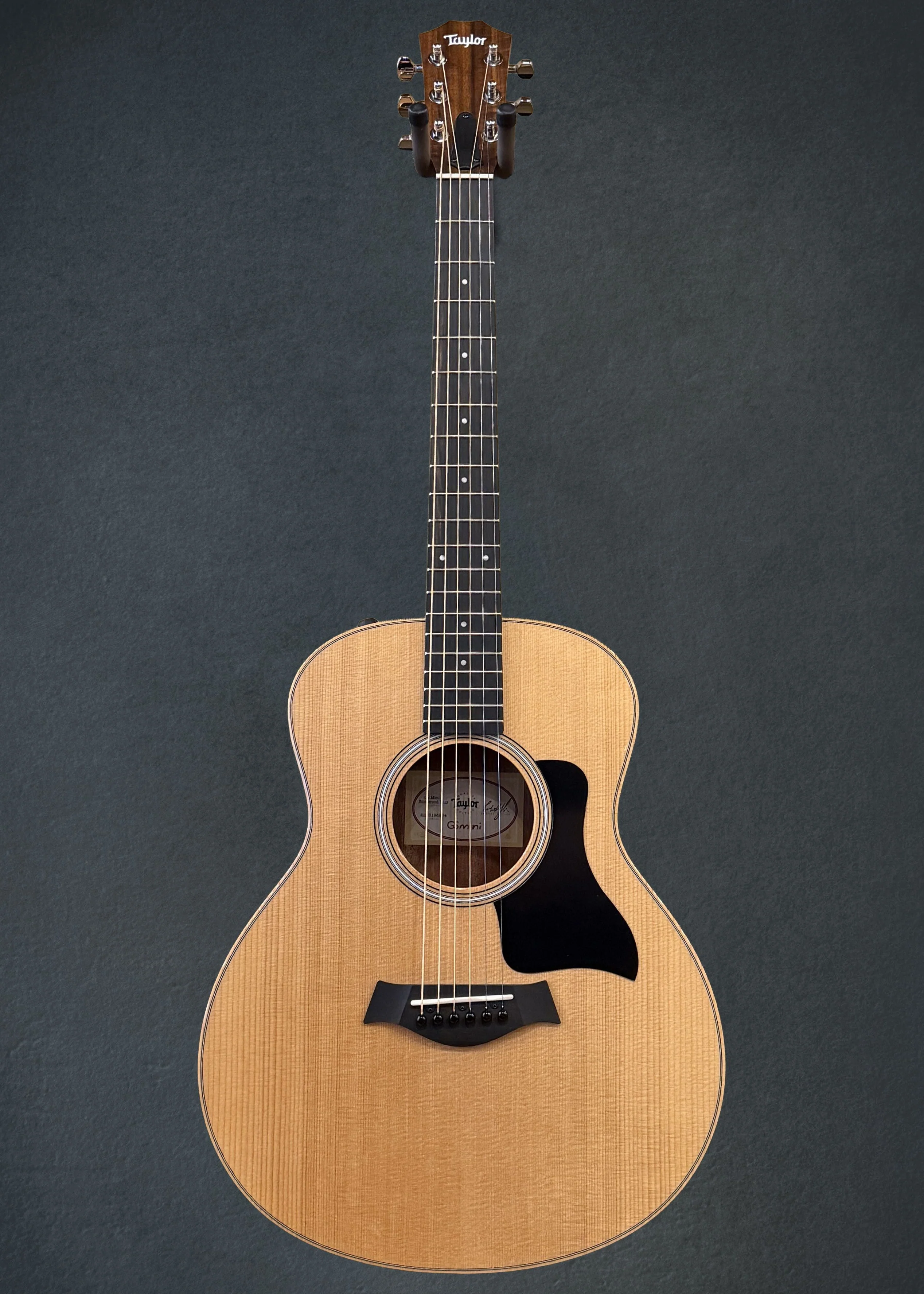 GS Mini-e Rosewood Plus - Image 3