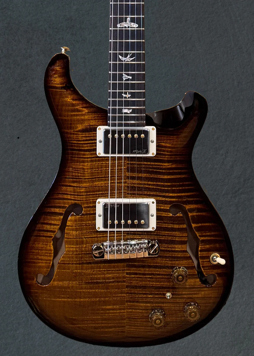 Hollowbody II Piezo 10 Top - Black Gold Wraparound Burst - Image 2