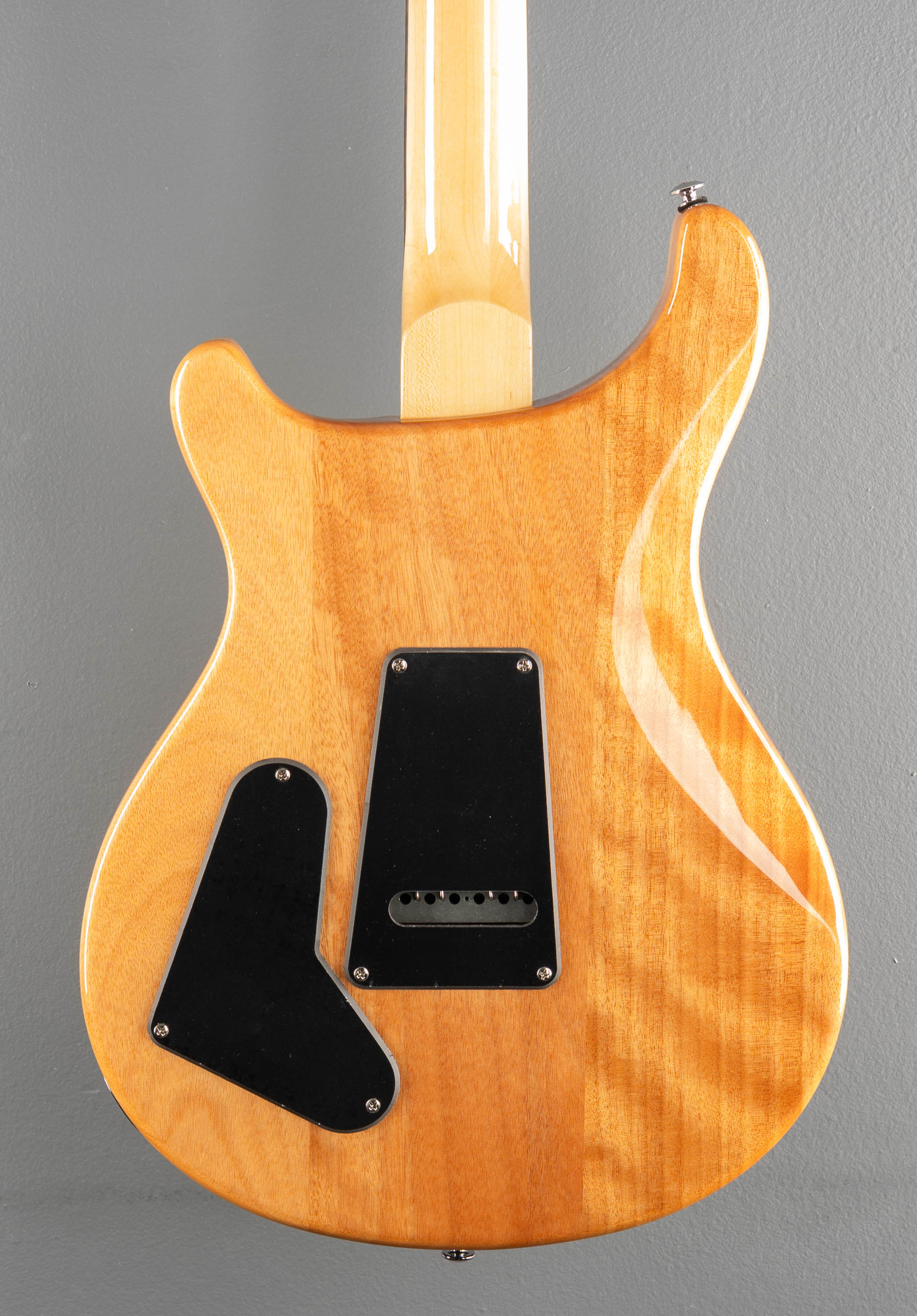 SE Custom 22 Semi-Hollow '22 - Image 4