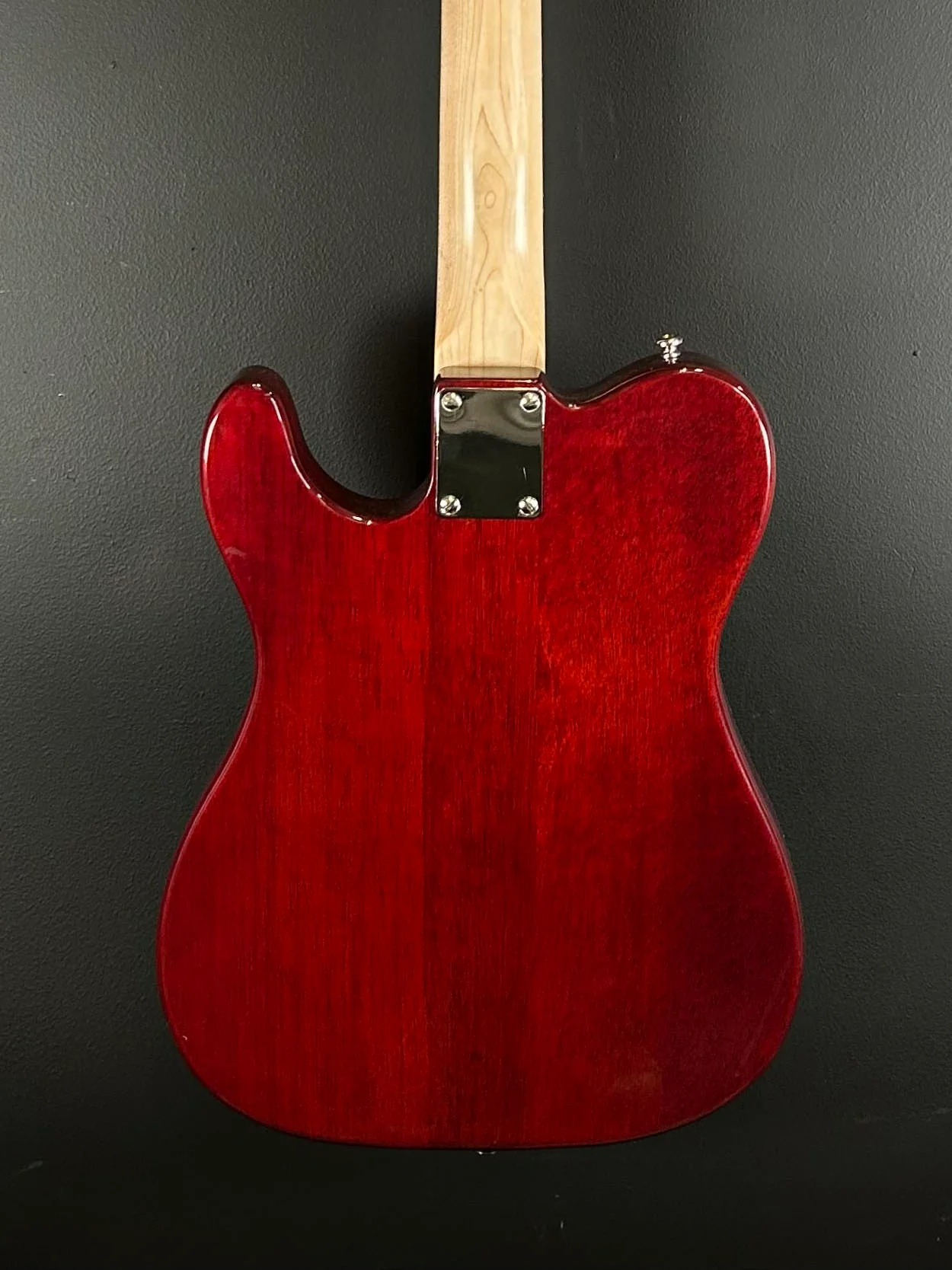 Tribute Series Partscaster, Recent - Image 4